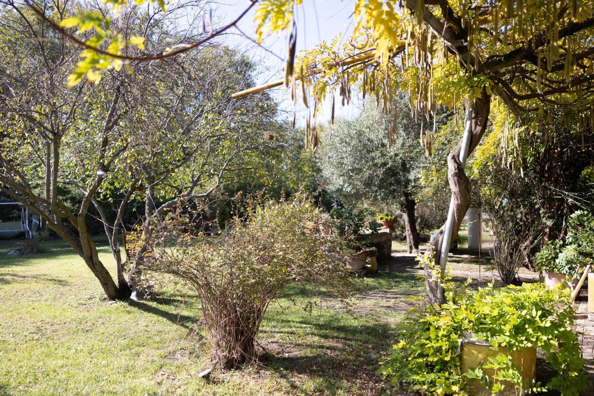 Locanda Acetaia Malagoli Daniele Castelfranco Emilia Exteriér fotografie