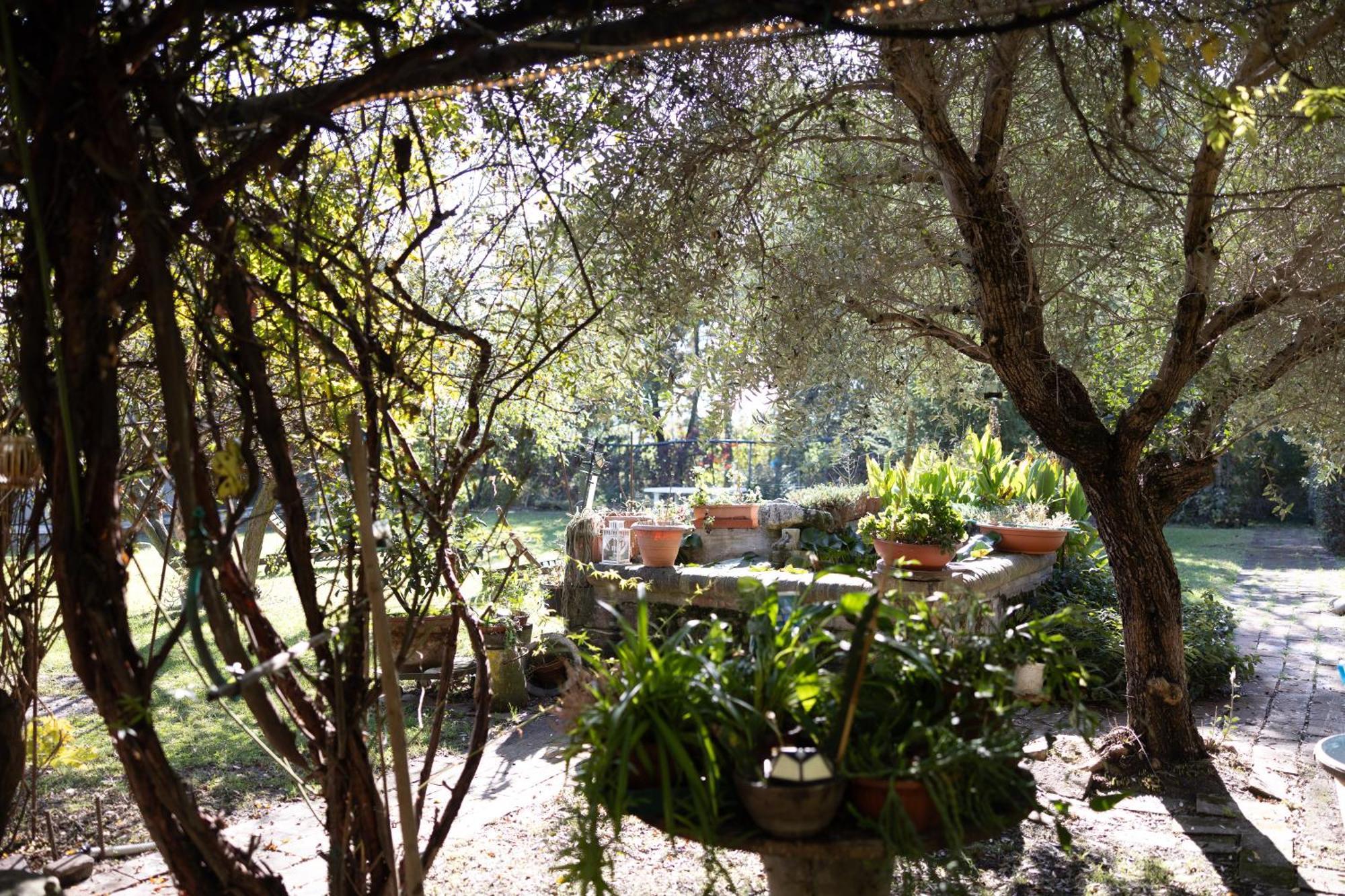 Locanda Acetaia Malagoli Daniele Castelfranco Emilia Exteriér fotografie